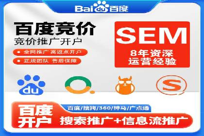 行业领先SEM服务公司案例研究